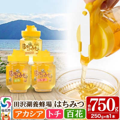秋田県産はちみつ(アカシア・トチ・百花)250g×各1本 合計750g|02_tyj-231101