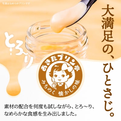 あきたプリン亭 なめらか&レトロセット 12個入り|02_apt-041201