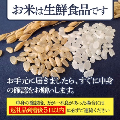 玄米15kg 令和7年産 秋田県産あきたこまち 15kg 匠|02_snk-020701