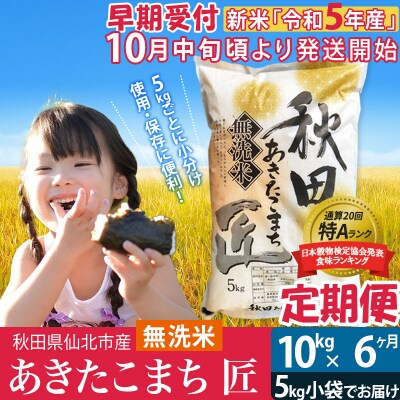 無洗米《定期便6ヶ月》あきたこまち 10kg 米 先行受付|a2_snk-030606s | ふるさと納税のお礼品