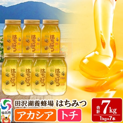 秋田県産はちみつ(アカシア・トチ)合計7kg|02_tyj-081301