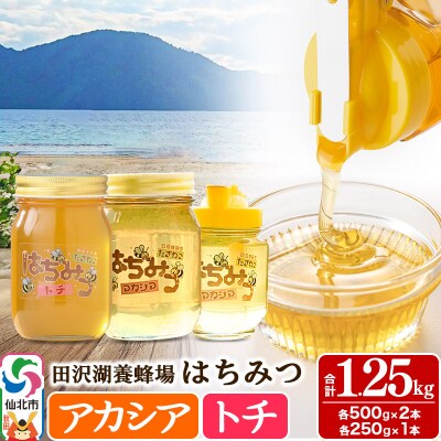秋田県産はちみつ(アカシア・トチ)合計1.25kg|02_tyj-220301