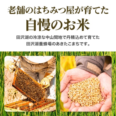 先行受付【玄米】令和6年産 新米 秋田県産あきたこまち 10kg|02_tyj-321001s