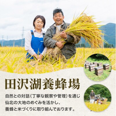 先行受付【玄米】令和6年産 新米 秋田県産あきたこまち 10kg|02_tyj-321001s