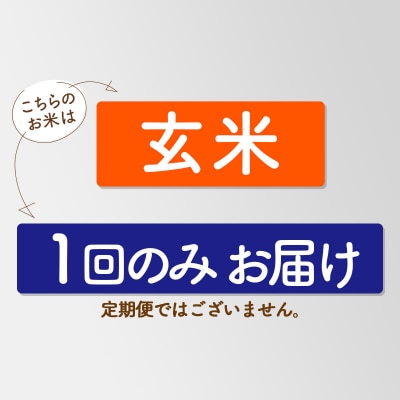【玄米10kg】＜令和7年産 新米 早期受付＞ あきたこまち10kg|02_snk-020601s