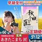 【玄米5kg】令和7年産 新米早期受付 定期便12回あきたこまち5kg|02_snk-020312s