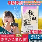 【玄米5kg】令和7年産 新米早期受付 定期便12回あきたこまち5kg|02_snk-020312s