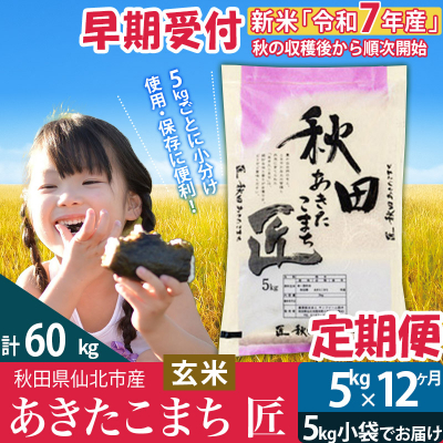 【玄米5kg】令和7年産 新米早期受付 定期便12回あきたこまち5kg|02_snk-020312s