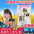 【玄米】令和7年産 新米 早期受付《定期便2ヶ月》あきたこまち10kg|02_snk-020602s