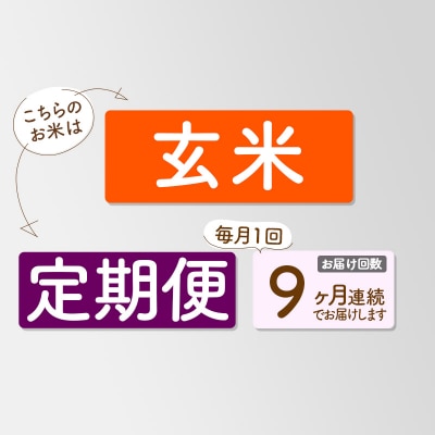 【玄米】令和7年産 新米 早期受付《定期便9ヶ月》あきたこまち10kg|02_snk-020609s