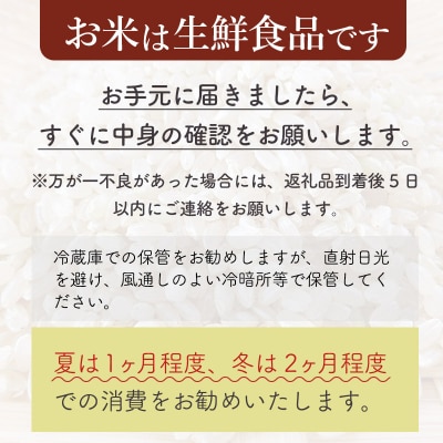 【白米20kg】令和7年産 早期受付 秋田県産 あきたこまち|02_snk-010801s