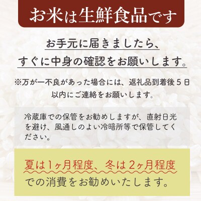 【白米】令和7年産 早期受付《定期便3ヶ月》あきたこまち20kg|02_snk-010803s