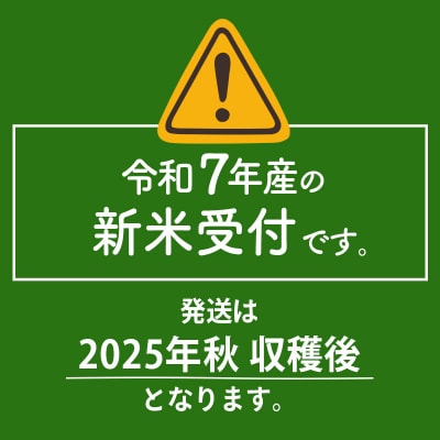 【白米】令和7年産 新米 早期受付《定期便7ヶ月》あきたこまち20kg|02_snk-010807s