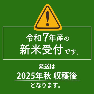 【無洗米】R7年産 新米 早期受付《定期便6ヶ月》あきたこまち25kg|02_snk-030906s