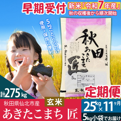 玄米 令和7年産 新米 早期受付《定期便11ヶ月》あきたこまち25kg|02_snk-020911s