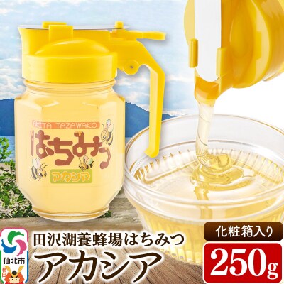 秋田県産はちみつ アカシア250g 化粧箱入り 国産蜂蜜|02_tyj-240101