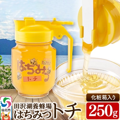 秋田県産はちみつ トチ250g 国産蜂蜜|02_tyj-250101