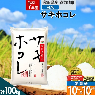 ���ߘa7�N�Y�������10���� ���� �T�L�z�R�� 10kg ���ʍ͔|��|02_snk-111010