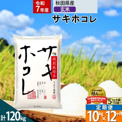 ���ߘa7�N�Y�������12���� ���� �T�L�z�R�� 10kg ���ʍ͔|��|02_snk-121012