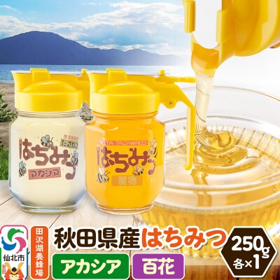 秋田県産はちみつ(アカシア・百花)250g×各1本 詰め合わせ|02_tyj-350201