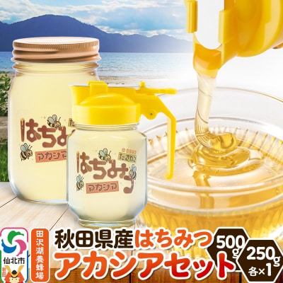 秋田県産はちみつ アカシアセット 500g×1本・250g×1本 セット|02_tyj-410201
