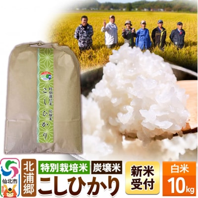 令和8年産 新米 特別栽培米 炭壌米 こしひかり 白米 10kg|02_kum-090101s