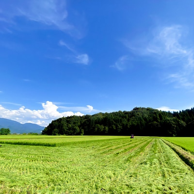 《予約受付》いぶりがっこスライス 150g×2 クロネコゆうパケット|02_gkk-050201