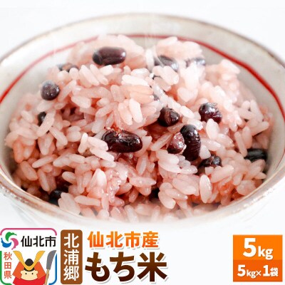 仙北市産 令和7年産 もち米 5kg1袋|02_kum-021001