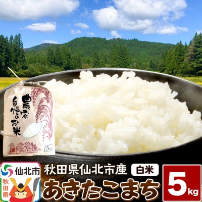 【白米】令和7年産 あきたこまち 5kg 米 こめ 秋田県 仙北市産|02_kwm-010501