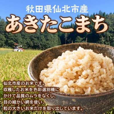【玄米】令和7年産 あきたこまち 5kg 米 こめ 秋田県 仙北市産|02_kwm-020501