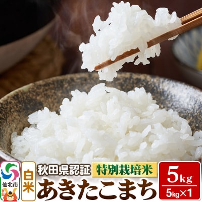 あきたこまち(白米)5kg×1袋 米 令和7年産 秋田県認証 特別栽培米|02_ssn-010501