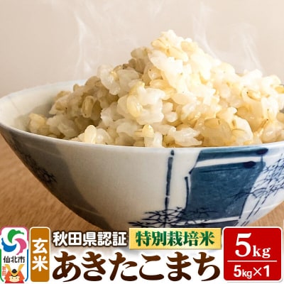 あきたこまち(玄米)5kg×1袋 米 令和7年産 秋田県認証 特別栽培米|02_ssn-020501