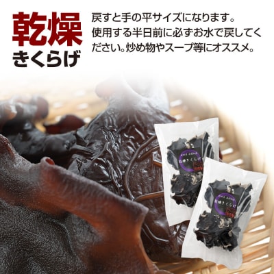 乾燥きくらげ 約30g×2袋|02_sne-030201