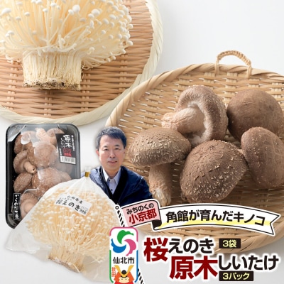 みちのくの小京都・角館が育んだ2種セット(桜えのき、原木しいたけ)|02_sne-050101
