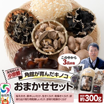 角館が育んだ おまかせセット 合計約300g えのき きくらげ 椎茸|02_sne-010101
