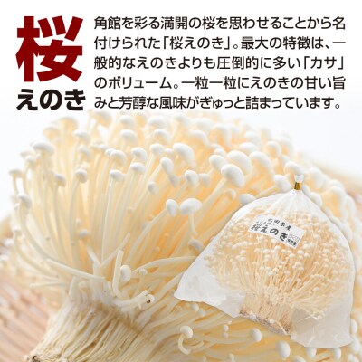 角館が育んだ おまかせセット 合計約300g えのき きくらげ 椎茸|02_sne-010101