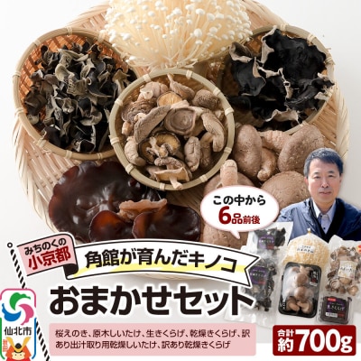 角館が育んだ おまかせセット 合計約700g えのき きくらげ 椎茸|02_sne-010201