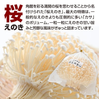 角館が育んだ おまかせセット 合計約700g えのき きくらげ 椎茸|02_sne-010201