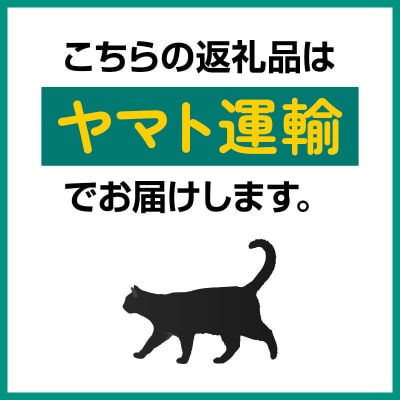  仙北市産 夏いちご 約600g(約300g×2パック)苺|02_sfm-030201