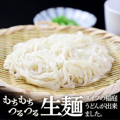 稲庭古来堂 稲庭古来生うどん 200g×3パック 伝統製法認定|02_ikd-250301