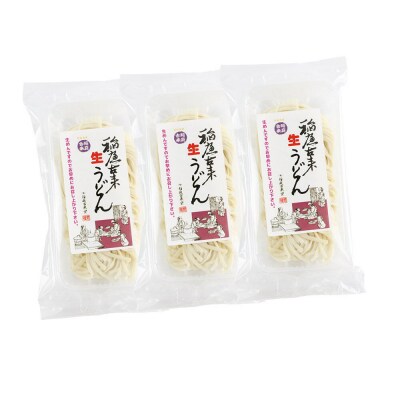 稲庭古来堂 稲庭古来生うどん 200g×3パック 伝統製法認定|02_ikd-250301