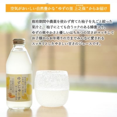 S10-38 「ゆずの里上之保」ゆずじゅーす 10本セット