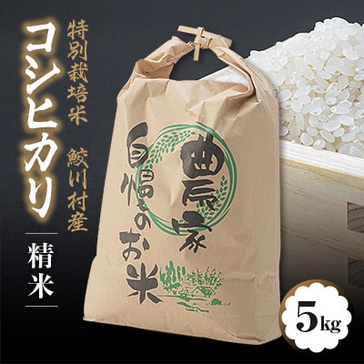 鮫川村産コシヒカリ(精米)5kg