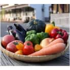 季節の野菜セット(5～10種)
