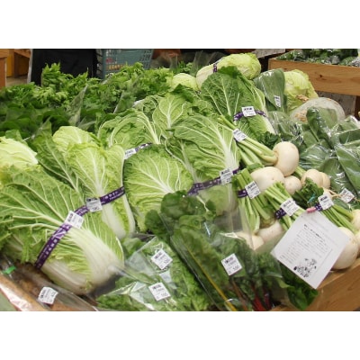 季節の野菜セット(10～15種)