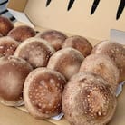 さめがわドリームきのこ園 肉厚ジャンボしいたけ(800g)