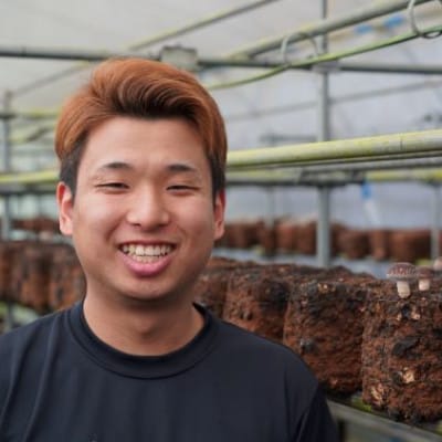 さめがわドリームきのこ園 肉厚ジャンボしいたけ(800g)