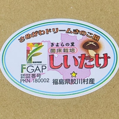 さめがわドリームきのこ園 肉厚ジャンボしいたけ(800g)