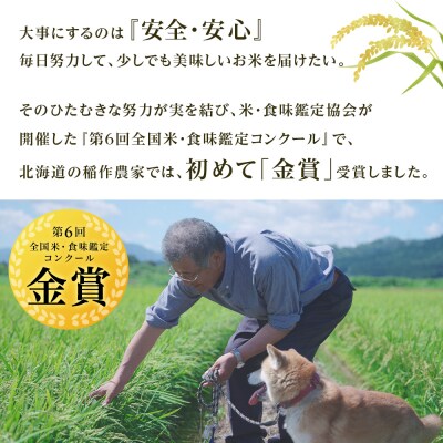 【令和7年産新米先行受付】【定期便 3カ月】ゆめぴりか 10kg《杉本農園》