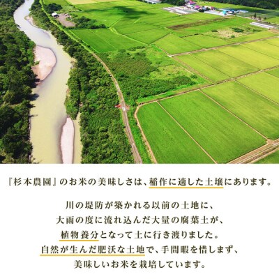 【令和8年産新米先行受付】【定期便 6カ月】ゆめぴりか 玄米 10kg 《杉本農園》